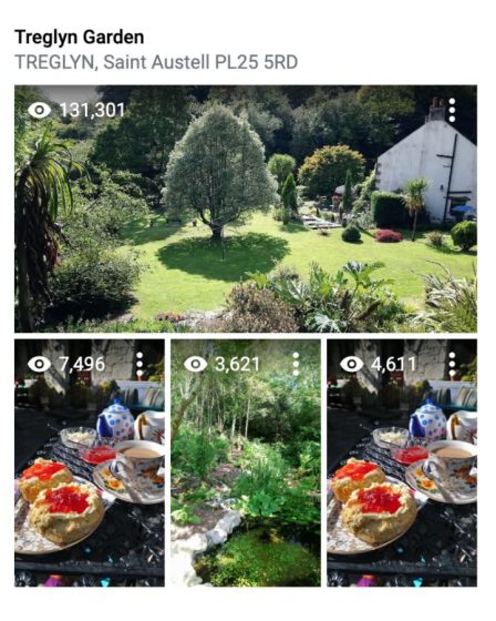 Treglyn Gardens and a cream tea